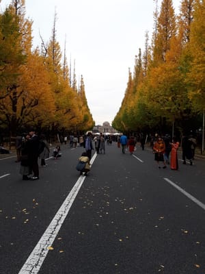 20181126_152957.jpg