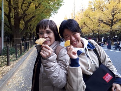 20181126_153740.jpg
