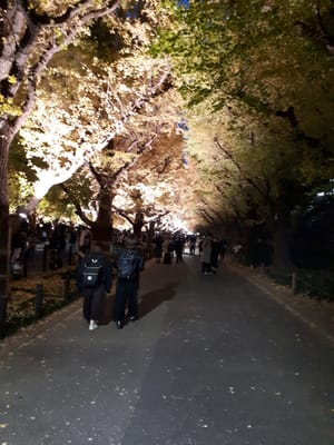 20181126_165208.jpg