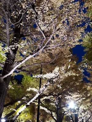 20181126_165704.jpg