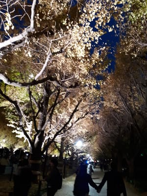 20181126_165830.jpg