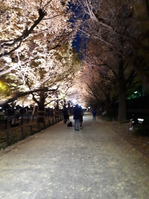 20181126_170024.jpg