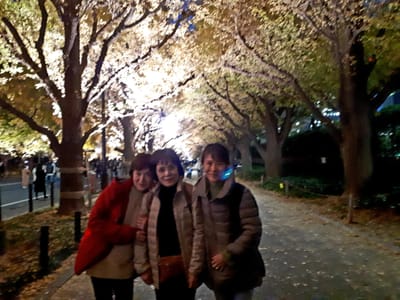 20181126_203912.jpg