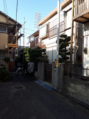 20181127_131644.jpg