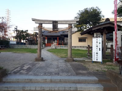 20181127_151615.jpg