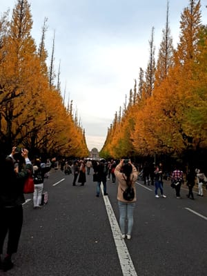 20181127_221402.jpg