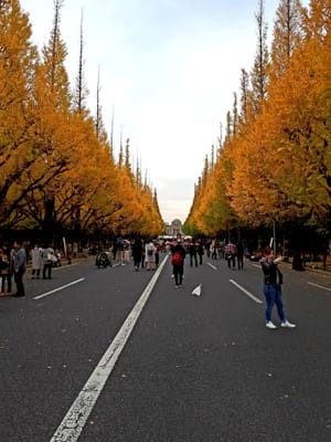 20181127_221448.jpg