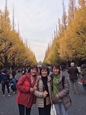 20181127_222420.jpg