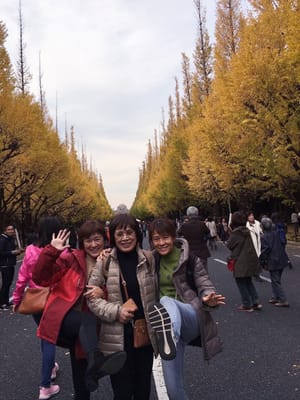 20181127_222526.jpg