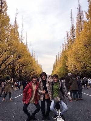 20181127_222547.jpg