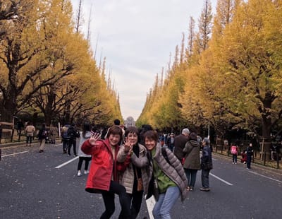 20181127_222705.jpg