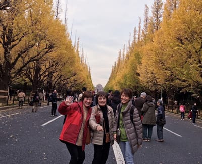 20181127_222759.jpg