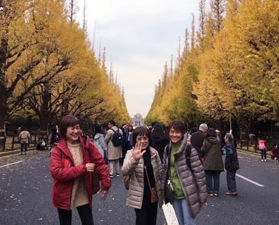 20181127_222919.jpg