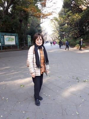 20181128_133151.jpg