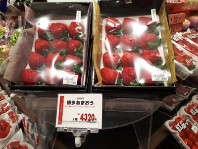 20181129_154132.jpg