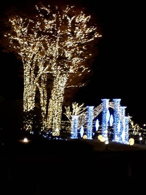 20181129_211449.jpg