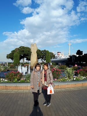20181130_140425.jpg
