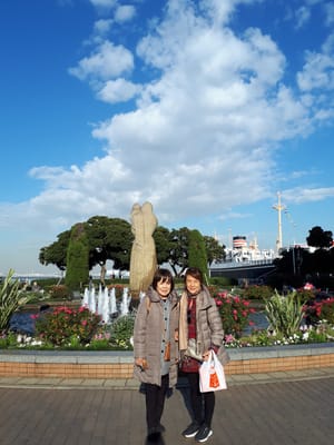 20181130_140432.jpg
