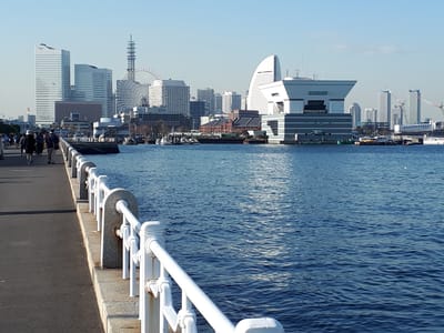 20181130_141050.jpg