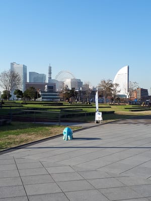 20181130_143051.jpg