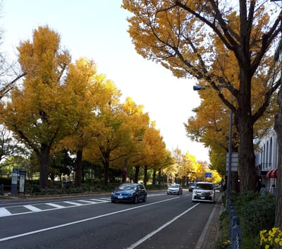 20181130_145411.jpg