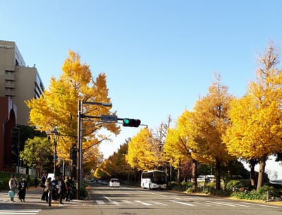 20181130_150227.jpg