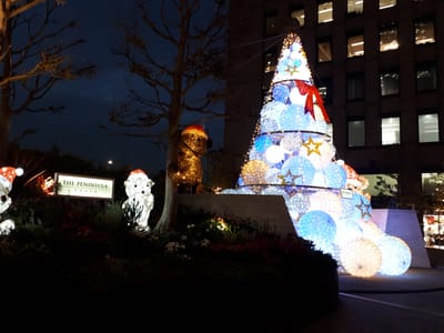 20181203_164908.jpg