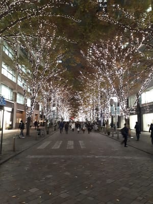 20181203_170905.jpg