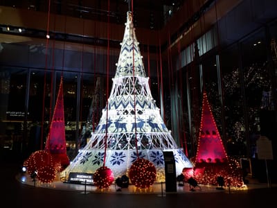 20181203_171218.jpg