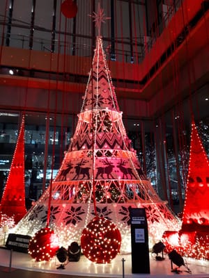 20181203_181354.jpg