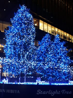 20181203_185027.jpg