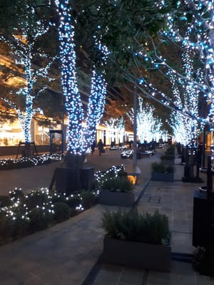 20181203_185235.jpg