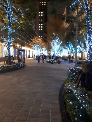 20181203_185248.jpg