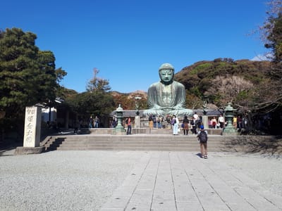 20181204_122525.jpg