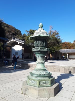 20181204_122819.jpg
