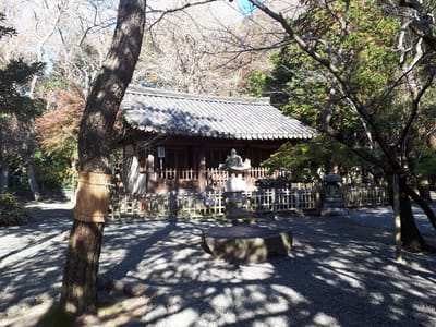 20181204_124619.jpg