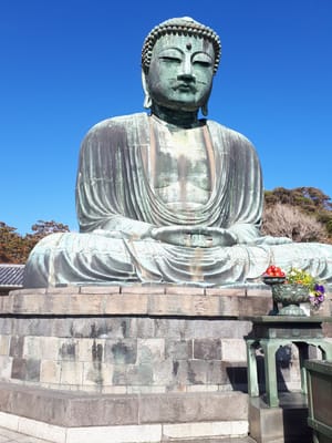 20181204_125408.jpg