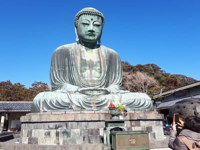 20181204_125453.jpg