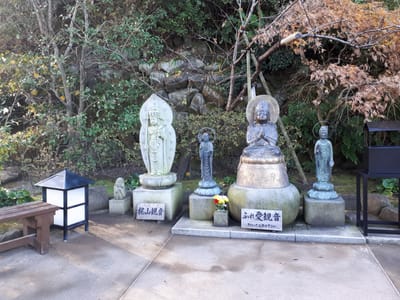 20181204_131124.jpg