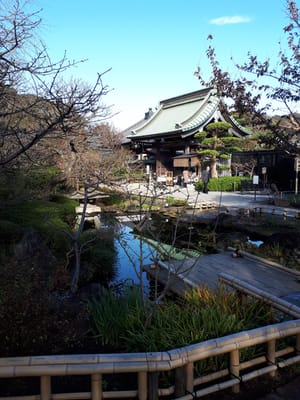 20181204_131132.jpg