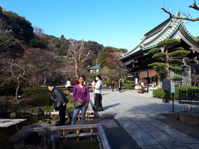 20181204_131316.jpg