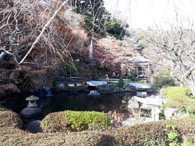 20181204_131422.jpg