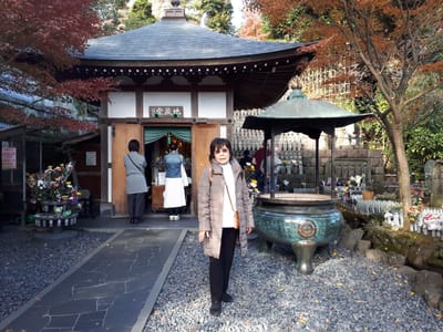 20181204_131616.jpg