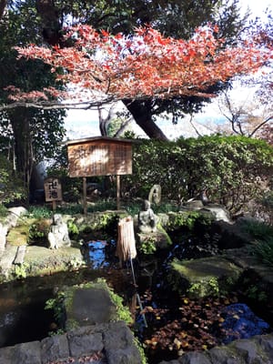 20181204_131632.jpg