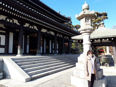 20181204_131908.jpg