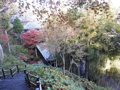 20181204_132748.jpg