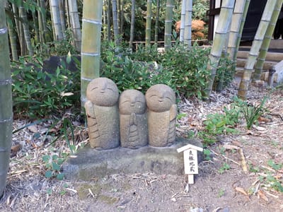 20181204_133138.jpg