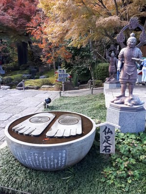 20181204_133353.jpg