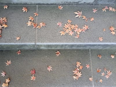 20181204_135528.jpg