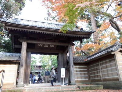 20181204_141714.jpg